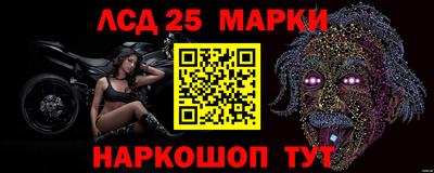 гашик Гай