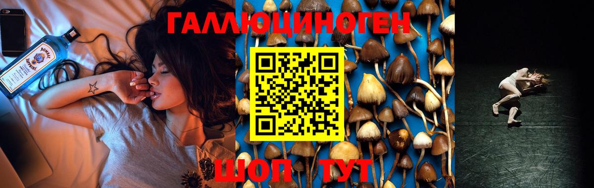 Галлюциногенные грибы мицелий Санкт-Петербург
